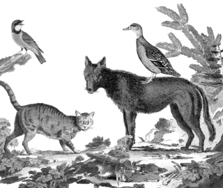 Pierre et le Loup